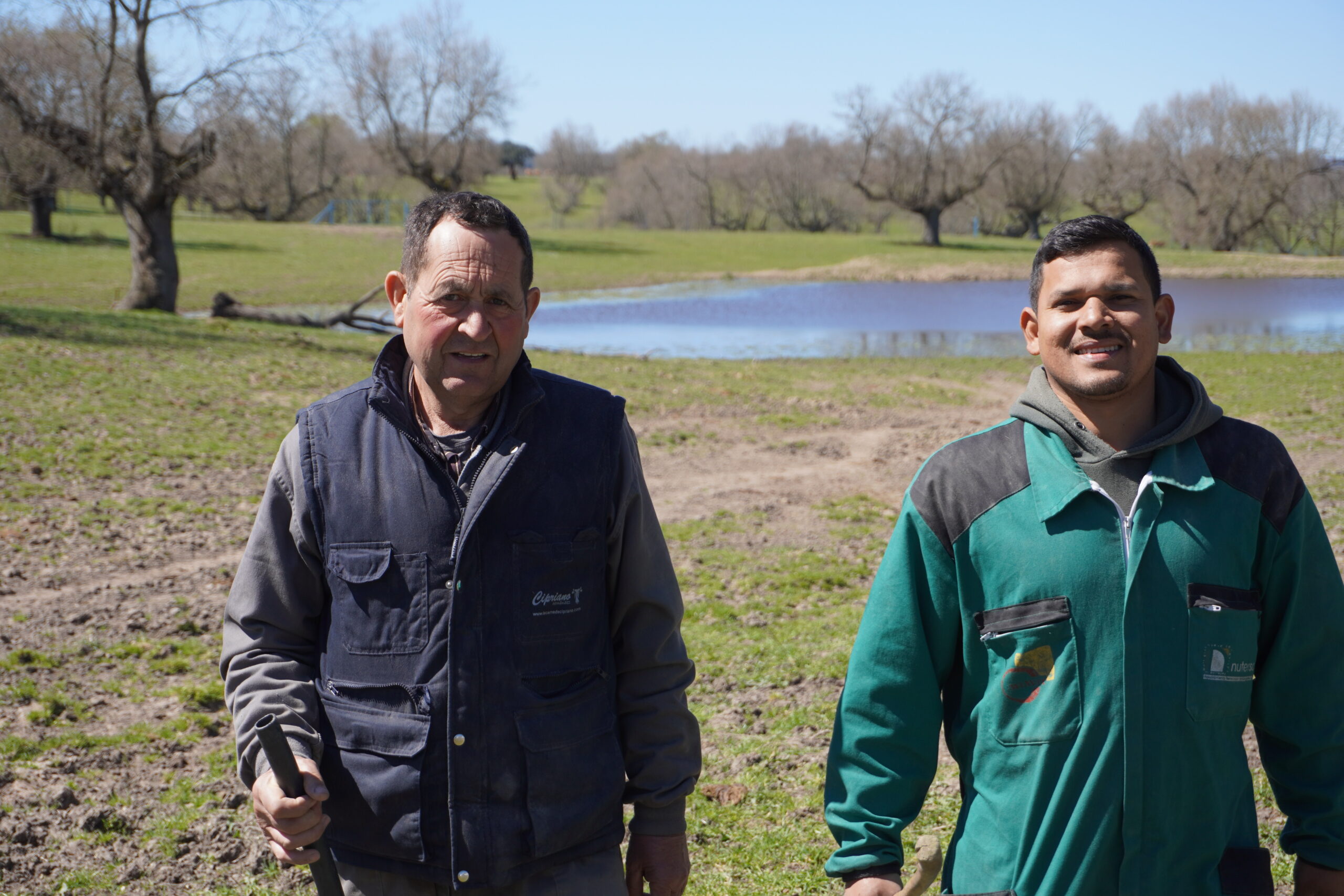 Harold con Cayetano trabajando con el ganado en el paisaje rural de Salamanca
